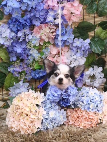 20250629レイくん